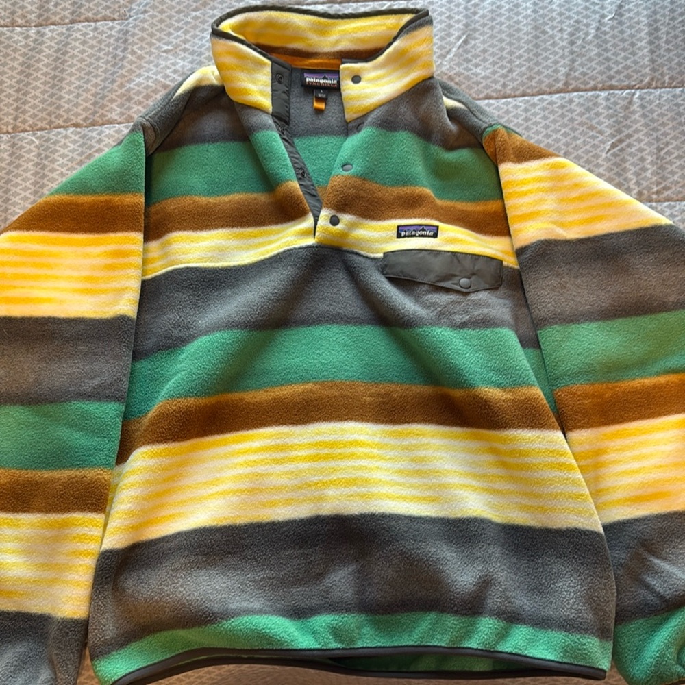 Men’s Large Patagonia Synchilla “Painted Fitz Stripe”